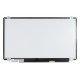 Display B156HAN13.1 Displej LCD IPS Full HD 144hz LED eDP 40pin NoB - Matný