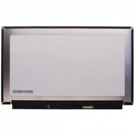 Display Kompatibilní N133HCE-EN2 Rev.C1 Displej LCD 12,5“ 30pin IPS 60Hz FHD LED Slim - Matný