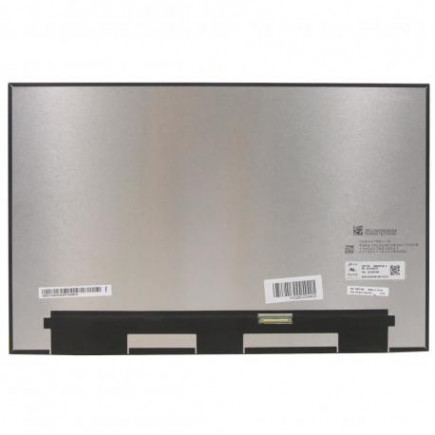 Display Kompatibilní B160QAN02.W Displej LCD 12,5“ 30pin IPS 60Hz FHD LED Slim - Matný