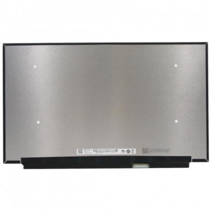 Display Kompatibilní B156HAN10.2 HW0A Displej LCD 15,6“ 40pin IPS 240Hz FHD LED - Lesklý