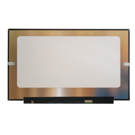 Display Acer Aspire Go 17 AG17-31P-P0EJ Displej LCD 17,3“ 30pin eDP Full HD LED - Matný