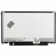 Display Kompatibilní B116XTN02.3 HW3A Displej LCD 11,6“ 30pin HD LED Slim - Matný