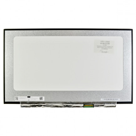 Display Kompatibilní N173HCE-G3C Displej LCD 17,3“ 40pin IPS 120Hz FHD LED - Matný