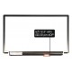 Display LP125WH2(TP)(F1) Displej LCD 12,5“ 30pin eDP HD LED - Lesklý
